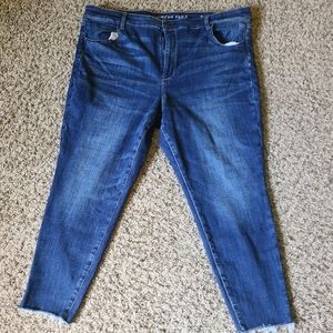 Plus Size American Eagle Hi-Rised Crop Jegging